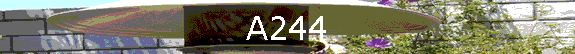 A244